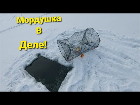 Видео: Мордушка на Живца! Секретное Озеро!