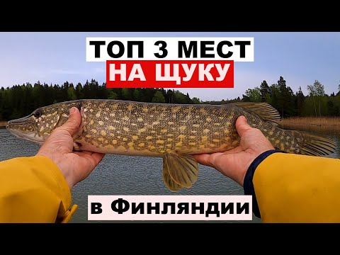 Видео: Рыбалка в Финляндии. 3 лучших места для рыбалки на морскую щуку в Финляндии.