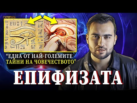 Видео: Неразказаната Тайна на Епифизата, Третото Око и Порталът вътре в нас - СКРИТАТА РЕАЛНОСТ (ЕП 47)