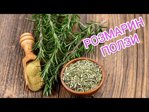 Видео: ползи от употребата на розмарин