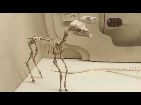 Видео: 30 октября 2025 г.