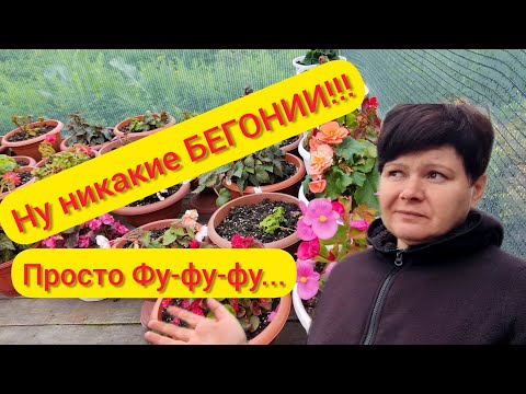 Видео: Ещё и лета не было, а уже осень... 🤷‍♀️