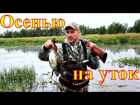 Видео: Осенняя охота на уток