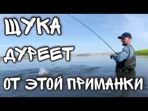 Видео: Рыбалка на щуку на водохранилище. Джерки делают рыбалку!!!!