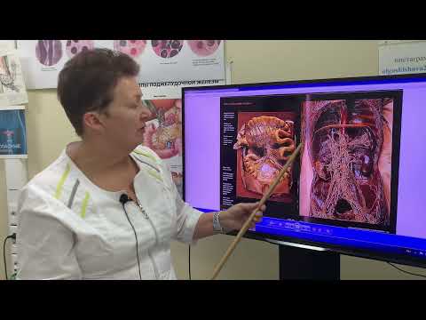 Видео: ОТКУДА В ТЕЛЕ НАЧИНАЮТСЯ БОЛЕЗНИ. [Шишова О. И.]