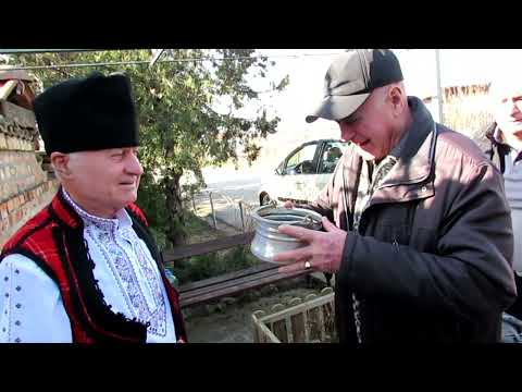 Видео: Трифон Зарезан в Паскалево