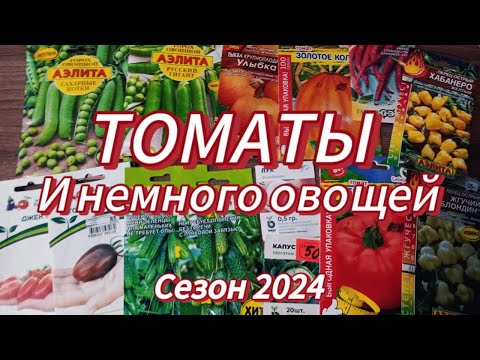 Видео: ОБЗОР: МНОГО СЕМЯН ТОМАТОВ И ДРУГИХ ОВОЩЕЙ