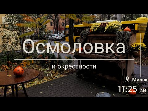 Видео: Осмоловка и окрестности