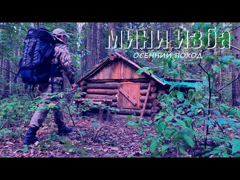 Видео: МИНИ-ИЗБА ИЗ ВАЛЕЖНИКА - Золотой сентябрь. Живу в избе в глухом лесу. Гнёзда диких ос в избе.