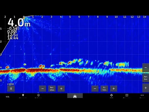 Видео: Как ведёт себя судак зимой (Сенеж)