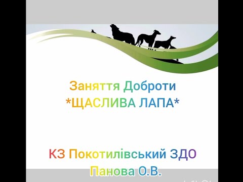 Видео: заняття доброти "ЩАСЛИВА ЛАПА"