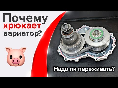 Видео: Хрюкает Вариатор. Странные звуки на Nissan X-trail. Ремонт вариатора в Москве и Санкт-Петербурге.