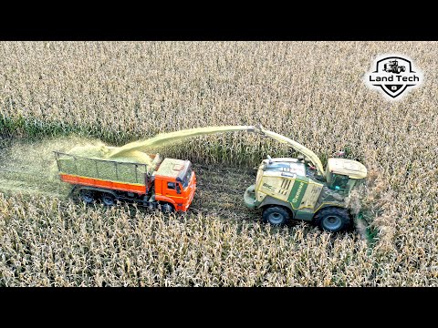Видео: ВОТ ЭТО МОЩЬ: Кормоуборочный комбайн KRONE BIG X 770 убирает разом 12 рядов кукурузы!