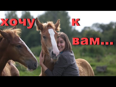 Видео: Хочу к вам на тренировку...