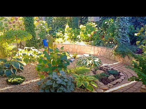 Видео: Обзор сада, обзор обеда, обзор  Адели  :-)) В общем, рутина  :-))