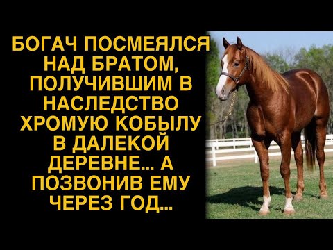 Видео: Он получил в наследство хромую кобылу... Жизненные истории