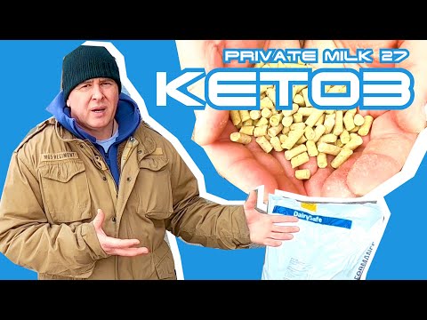 Видео: Кетоз у корів. Профілактика кетозу | Private Milk | Травецький