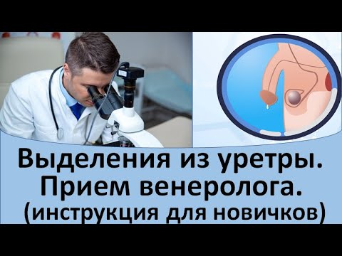 Видео: Выделения из уретры.  Прием венеролога.