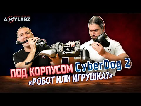 Видео: Что внутри CyberDog 2? Полный разбор робособаки от лаборатории AXYLABZ