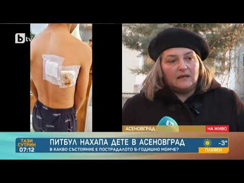 Видео: Тази сутрин: Нахапано от питбул момче в Асеновград: Животното не напада за първи път дете