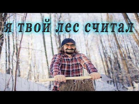 Видео: Математическая грамотность. Подготовка к ЕНТ. Задача 11