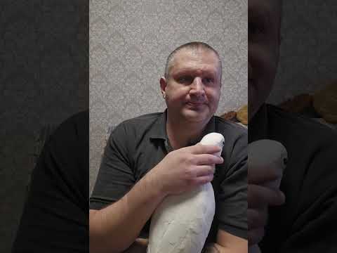 Видео: Вся правда о попугае АРАТИНГА