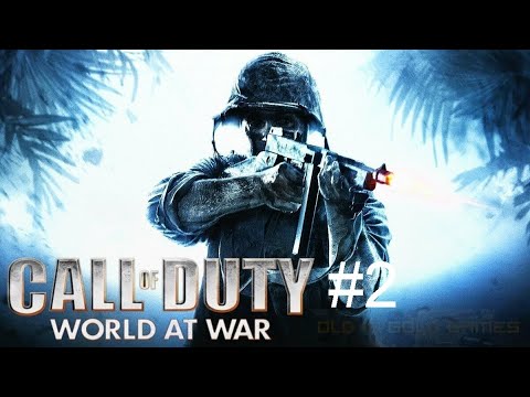 Видео: Call of Duty World at War прохождение #2