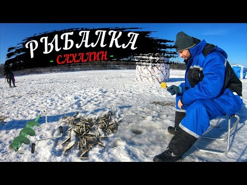Видео: Зимняя РЫБАЛКА на КОРЮШКУ / СУЕТА на ЛЬДУ / Сахалин 2023