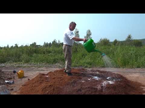 Видео: Зеленый сад "КОМПОСТ ИЗ ОПИЛОК"  02.09.2021 г.Хабаровск zeleniisad.ru