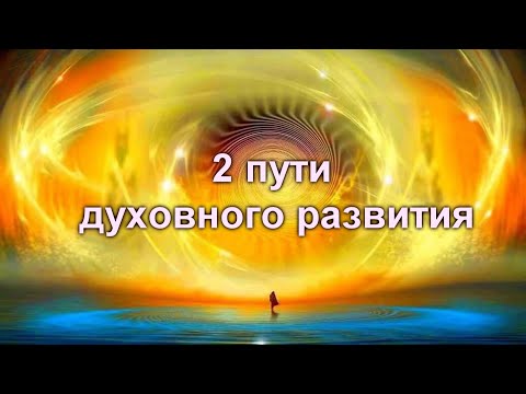 Видео: 2 ПУТИ духовного развития (путь ПЧЕЛЫ и путь ОСЫ)
