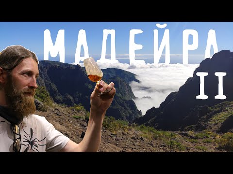 Видео: МАДЕЙРА  - горы, левады, леса и вино. Трекинг на самую высокую точку и дегустация вин Мадейры.