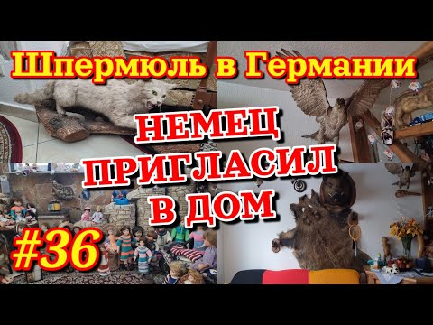 Видео: Шпермюль | Немец пригласил в дом | Зашёл и обалдел