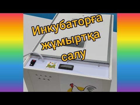 Видео: Инкубаторға жұмыртқа түрлерін салу және кеңес.Qus 100