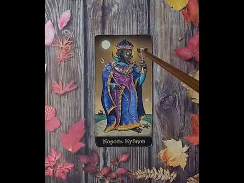 Видео: Для начинающих.Таро безумной луны.Карты двора.Король Кубков