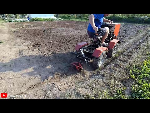 Видео: Копаем картошку минитрактором-самоделкой. Тракторок-переломка с двигателем от мотоблока