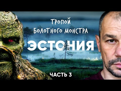 Видео: Сквозь эстонскую тайгу на велосипеде. Эстония.