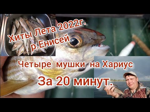 Видео: Хиты Лета 2022г. Четыре мушки на Хариус за 20минут