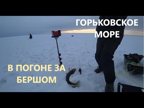 Видео: Горьковское море. Рыбалка на берша. Эхолот Практик 8 PRO WI FI