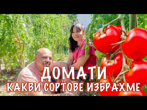 Видео: ДОМАТИ - какви сортове избрахме да отглеждаме тази година?