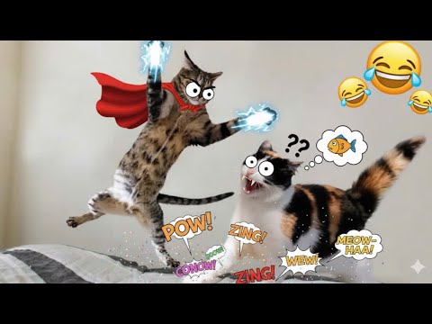 Видео: 🔥 Самые смешные видео с животными