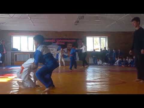 Видео: 8 ноября 2025 г.