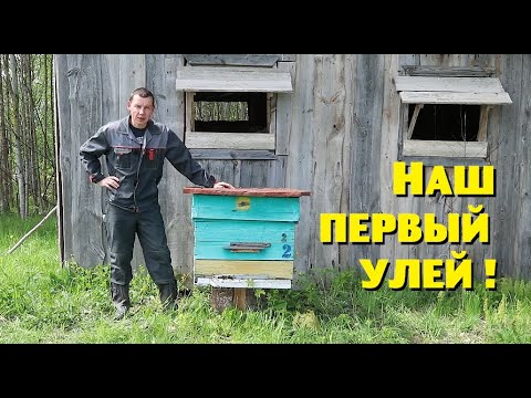 Видео: НАЧАЛО ПАСЕКЕ ПОЛОЖЕНО! ПЕРВАЯ ПЧЕЛОСЕМЬЯ ЕСТЬ!