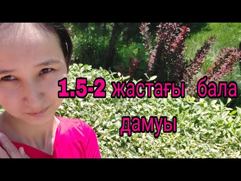 Видео: 1,5-2 жас  бала  дамуы,развитие  ребенка  1,5-2 лет,development  of  a  1.5-2 year old child