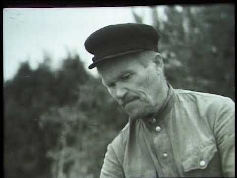 Видео: Киножурнал Советская Карелия 1955 Сентябрь