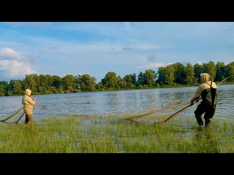 Видео: НЕВОД В ДЕЛЕ! РЫБАЛКА УДАЛАСЬ НАЛОВИЛИ КРУПНЫХ ЩУК НЕВОДОМ! #невод #рыбалка #щуки #лайк #много рыбы