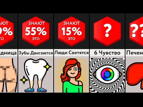 Видео: Секреты Нашего Тела