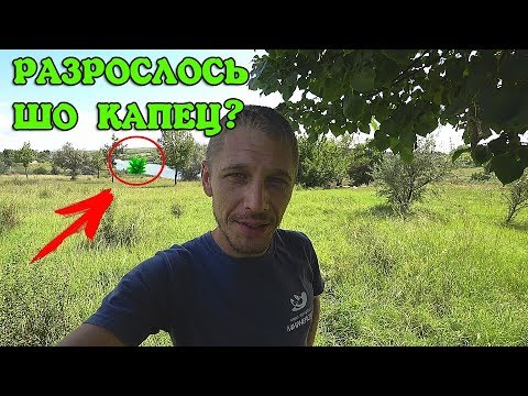 Видео: ВОТ ЭТО ЭКСПЕРИМЕНТ! АКВАРИУМНЫЕ РАСТЕНИЯ В ДИКОЙ ПРИРОДЕ!!!