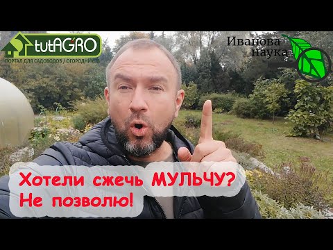 Видео: Не ЖГИ! КУДА ПРАВИЛЬНО ИСПОЛЬЗОВАТЬ ОСЕННЮЮ МУЛЬЧУ. Мульчу не выбрасывайте, мульча еще послужит!