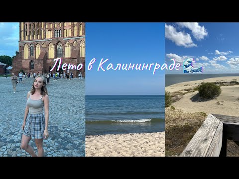 Видео: Я В КАЛИНИНГРАДЕ! 🥳✨ КАНИКУЛЫ НА БАЛТИЙСКОМ МОРЕ 🌊