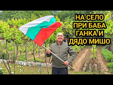 Видео: На гости при баба и дядо! Черешите узряха, лозето е окопано, а доматите в оранжерията са добре!